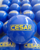 Bolas de Vinil Personalizada